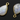 Rainbow Moonstone Smooth Baby Pear,1 Pair, (RNB021) - Beadspoint