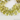 Lemon Topaz Large Faceted Puffed Pear Drops Gemstone, (2LTZ12x16Pear) - Beadspoint