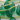 Green Onyx Faceted  Tear Drops, (GRX6x8Tear) - Beadspoint
