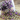 Labradorite Moonstone & Amethyst Faceted Rosary, (RS-MIX-8) - Beadspoint