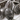 Black Rutilated Quartz Medium Faceted Pear Drops, (4BRUT10x13PEAR) - Beadspoint