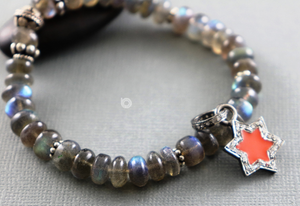 Pave Diamond Star Bracelet Charm (DCH-103) - Beadspoint