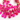 Fuschia Chalcedony Faceted Pear, (FUSC/11x15/PEAR) - Beadspoint
