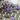 Labradorite Moonstone & Amethyst Faceted Rosary, (RS-MIX-8) - Beadspoint