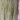 Golden Rutile Micro Faceted Rondelle Beads, (GRUTL-2.5RNDL) - Beadspoint