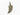 Pave Diamond Shark Tooth Charm, (DCH-07) - Beadspoint