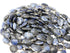 Sodalite Oval Faceted Bezel Chain in Antique Rhodium, 12x15 mm, (BC-SLT-251)