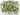 Green Amethyst Pear Faceted Bezel Chain, (BC-GAM-195) - Beadspoint