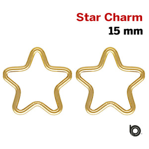 2 Pcs 14k Gold Filled Wire Star Charm,15.0mm Star Jump Ring (0.89mm wire) CL, (GF/777) - Beadspoint