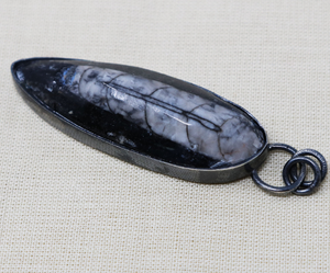 Sterling Silver Orthoceras Fossil pendant, (SP-5280) - Beadspoint