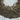 Natural Pyrite faceted Rondelle Beads, (PRT375RNDL) - Beadspoint