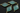 Aqua Blue Chalcedony Faceted Diamond Bezel, (BZC8048) - Beadspoint