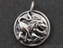 Sterling Silver Lion on a Raised Coin Charm -- SS/CH7/CR33